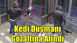 Küçükçekmece'deki kedi düşmanı gözaltına alındı