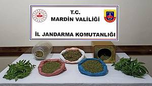 Mardin'de bir şahsın evinde yapılan aramada uyuşturucu ele geçirildi
