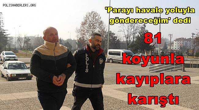 'Parayı havale yoluyla göndereceğim' dedi, 81 koyunla kayıplara karıştı 