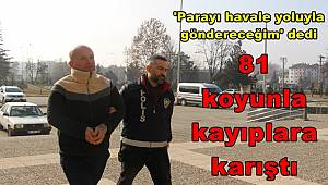 'Parayı havale yoluyla göndereceğim' dedi, 81 koyunla kayıplara karıştı 
