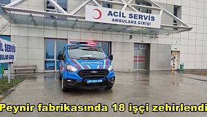 Peynir fabrikasında 18 işçi zehirlendi