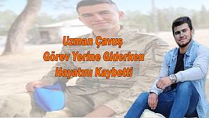 Tıra arkadan çarpan otomobilin sürücüsü uzman çavuş yaşamını yitirdi 