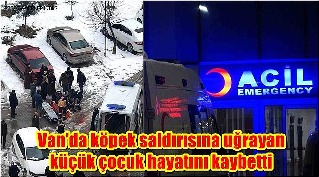 Van'da köpek saldırısına uğrayan küçük çocuk hayatını kaybetti 
