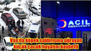 Van'da köpek saldırısına uğrayan küçük çocuk hayatını kaybetti