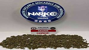 Yalova’daki uyuşturucu operasyonunda 1 tutuklama