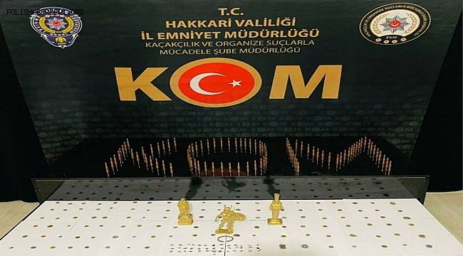 Yüksekova’da 111 adet sikke ele geçirildi
