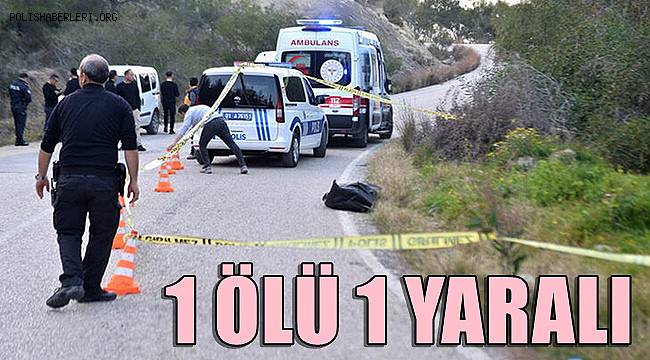 Adana'da yol kenarında başlarından vurulmuş halde kadın ve erkek bulundu 