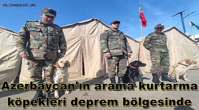 Azerbaycan'ın arama kurtarma köpekleri deprem bölgesinde 