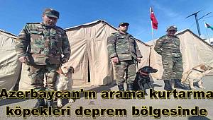 Azerbaycan'ın arama kurtarma köpekleri deprem bölgesinde 