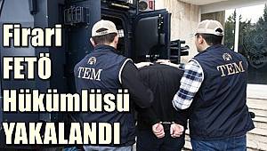 Gaziantep'te firari FETÖ hükümlüsü yakalandı 