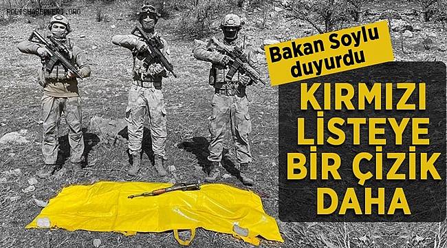 Kırmızı kategorideki terörist etkisiz hale getirildi