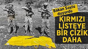 Kırmızı kategorideki terörist etkisiz hale getirildi