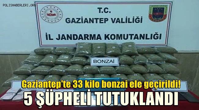 Gaziantep'te 33 kilo bonzai ele geçirildi! 5 şüpheli tutuklandı