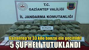 Gaziantep'te 33 kilo bonzai ele geçirildi! 5 şüpheli tutuklandı