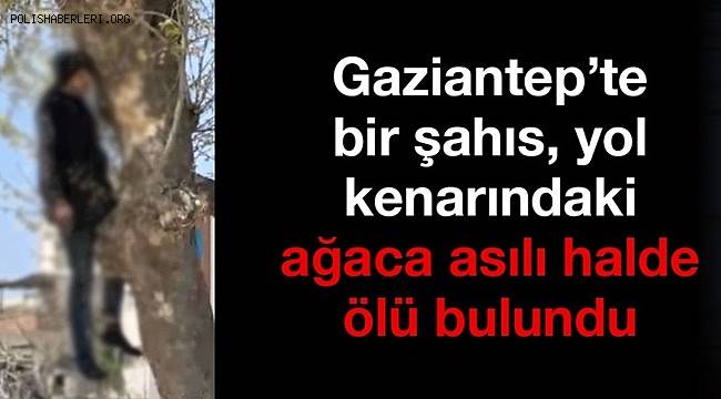 Gaziantep'te bir şahıs yol kenarındaki ağaca asılı halde cansız bulundu