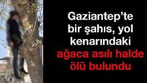 Gaziantep'te bir şahıs yol kenarındaki ağaca asılı halde cansız bulundu