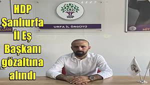 HDP Şanlıurfa İl Eş Başkanı gözaltına alındı
