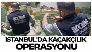 İstanbul'da kaçakçılık operasyonu! 115 milyon TL'lik ürün ele geçirildi