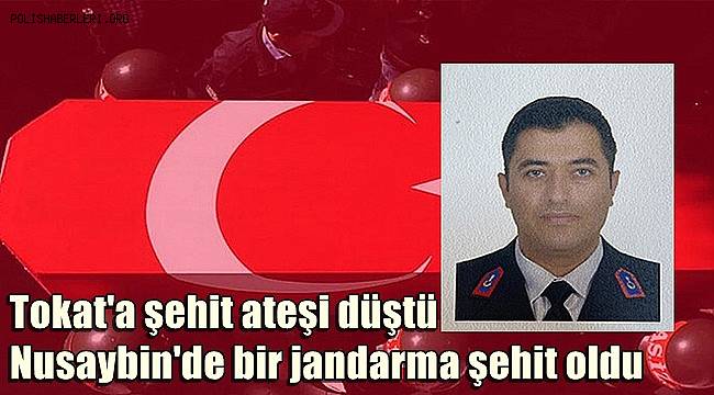 Tokat'a şehit ateşi düştü! Mardin Nusaybin'de bir jandarma şehit oldu