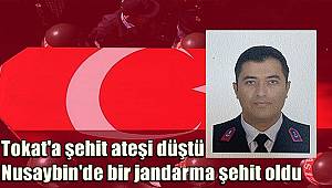 Tokat'a şehit ateşi düştü! Mardin Nusaybin'de bir jandarma şehit oldu
