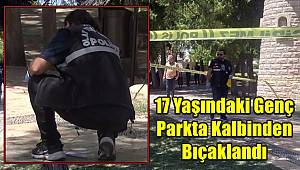 17 Yaşındaki Genç Parkta Kalbinden Bıçaklandı 