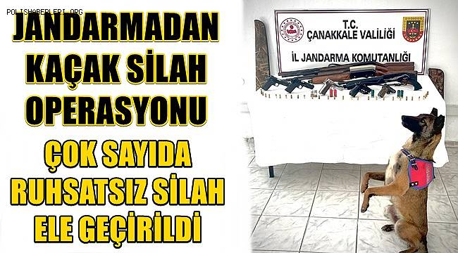 Jandarma'dan Kaçak Silah Operasyonu
