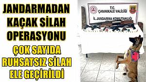 Jandarma'dan Kaçak Silah Operasyonu
