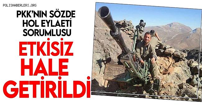 PKK'nın Sözde Hol eyaleti sorumlusu etkisiz hale getirildi 