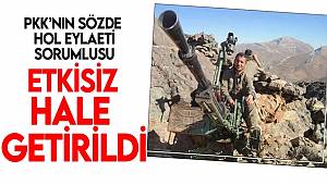 PKK'nın Sözde Hol eyaleti sorumlusu etkisiz hale getirildi 