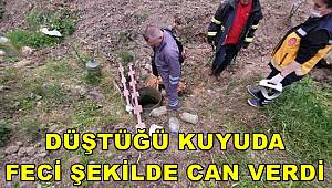 Su almak isterken kuyuya düştü, feci şekilde can verdi 