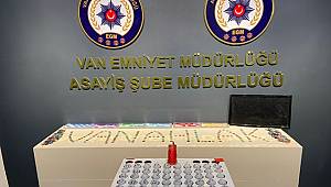 Van'da değişik suçlardan 18 kişi tutuklandı 