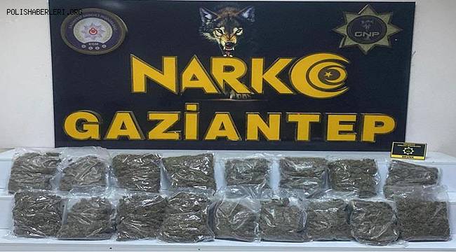 Gaziantep'te 8 kilo 550 gram skunk yakalandı