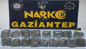 Gaziantep'te 8 kilo 550 gram skunk yakalandı