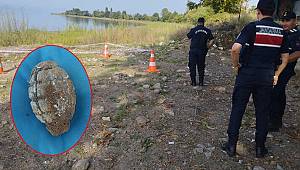 İznik Gölü'nde patlamamış el bombası bulundu