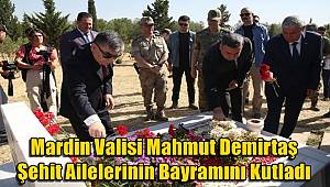 Mardin Valisi Mahmut Demirtaş, Şehit Ailelerinin Bayramını Kutladı 