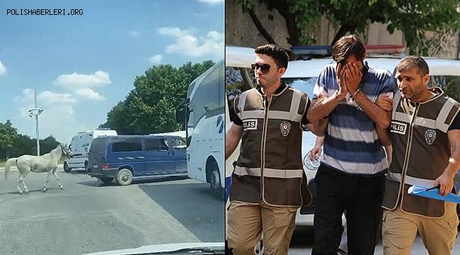 Minibüsüne bağladığı atı arkasından koşturan sürücü teslim oldu 