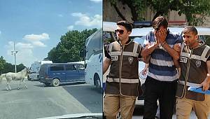 Minibüsüne bağladığı atı arkasından koşturan sürücü teslim oldu 