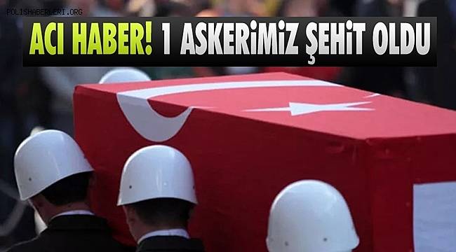 MSB: Van'da 1 asker silah kazası sonucu şehit oldu