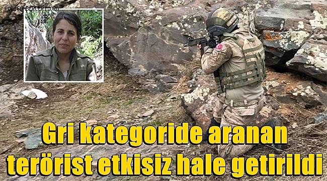 Bakan Yerlikaya! Gri kategoride aranan terörist etkisiz hale getirildi