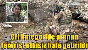 Bakan Yerlikaya! Gri kategoride aranan terörist etkisiz hale getirildi