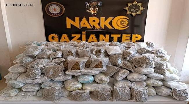 Gaziantep'te 81 Kilo Shunk Ele Geçirildi