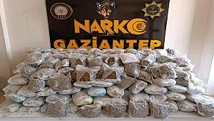 Gaziantep'te 81 Kilo Shunk Ele Geçirildi