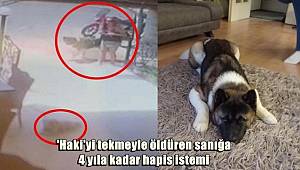 'Haki'yi tekmeyle öldüren sanığa 4 yıla kadar hapis istemi