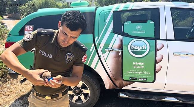 Mersin'de polis, bitkin haldeki kerkenezin yaşama tutunmasını sağladı