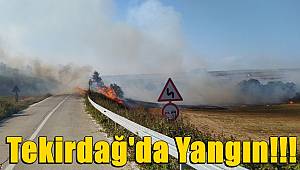 Tekirdağ'da Yangın!!!