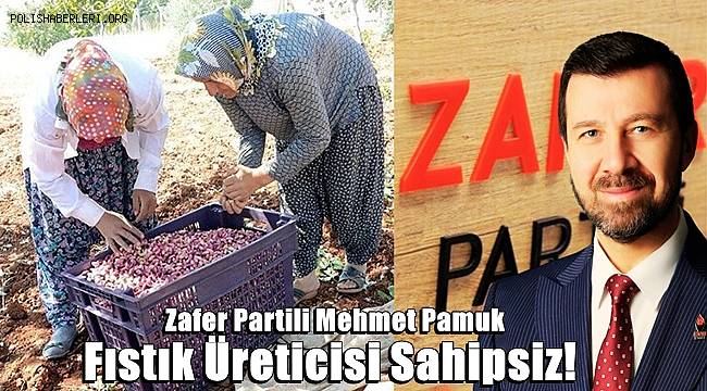 Zafer Partili Mehmet Pamuk! Fıstık üreticisi sahipsiz!  