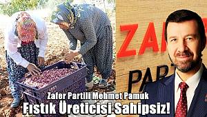 Zafer Partili Mehmet Pamuk! Fıstık üreticisi sahipsiz! 