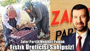 Zafer Partili Mehmet Pamuk! Fıstık üreticisi sahipsiz!