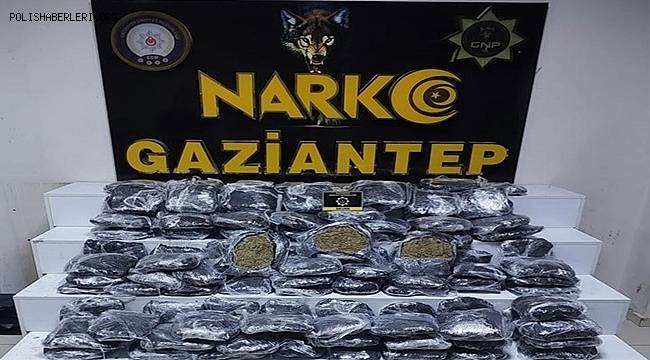 Gaziantep'te 51 kilo skunk ele geçirildi