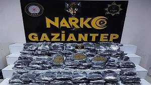 Gaziantep'te 51 kilo skunk ele geçirildi